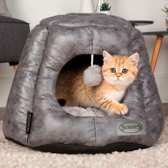 Hooded cat 2025 beds uk