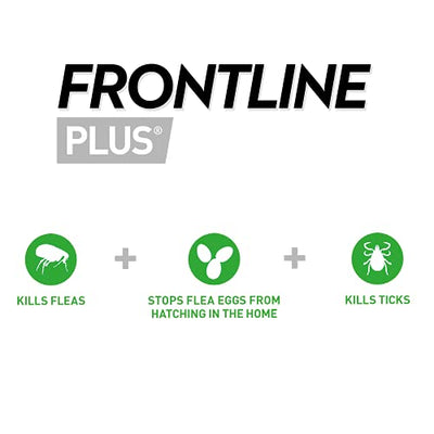 FRONTLINE Plus Flea & Tick Treatment for Cats and Ferrets - 6 Pipettes