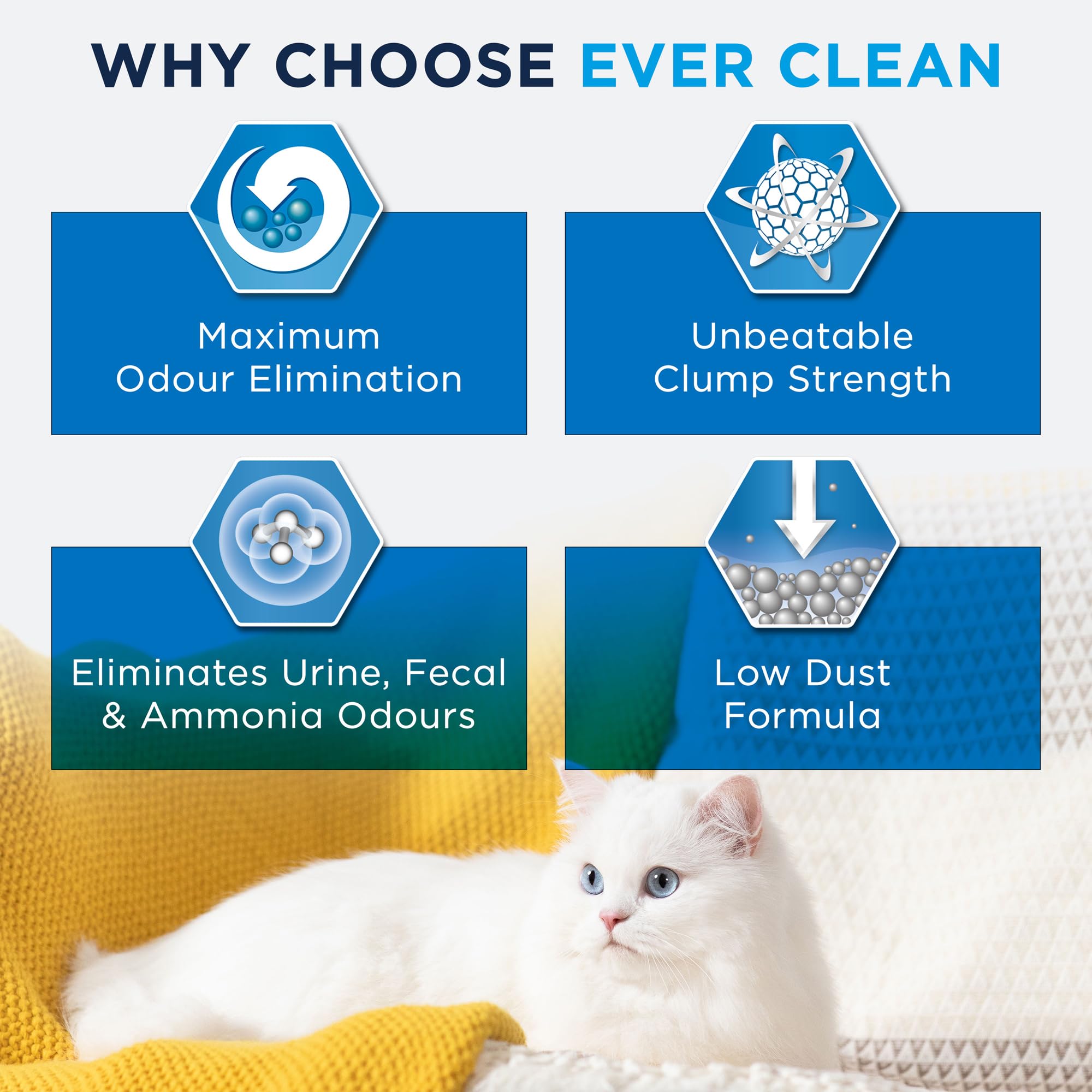 Cat and clean cat litter hotsell