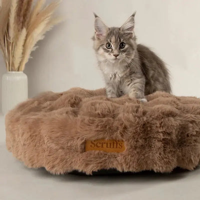 Alpine Cat Bed | Cat Bed for all sizes 