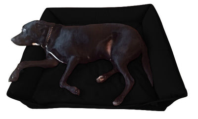 Waterproof Sofa Beds - Larger than average dog beds!