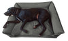 Waterproof Sofa Beds - Larger than average dog beds!