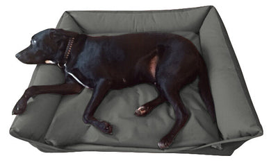 Waterproof Sofa Beds - Larger than average dog beds!