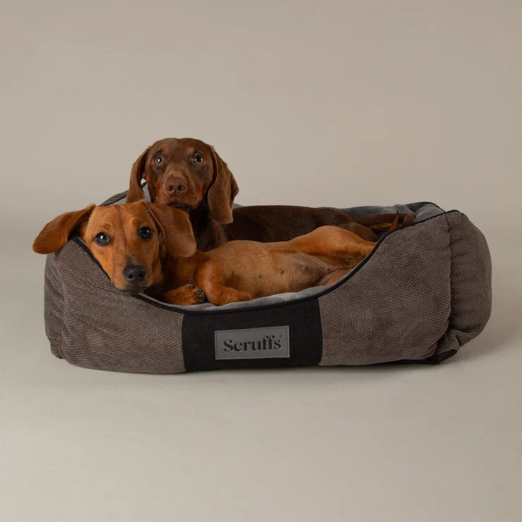 Chester Dog Bed | Box Bed for Dogs