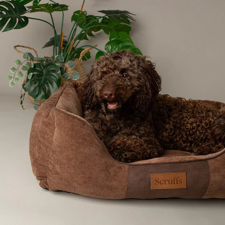 Chester Dog Bed | Box Bed for Dogs