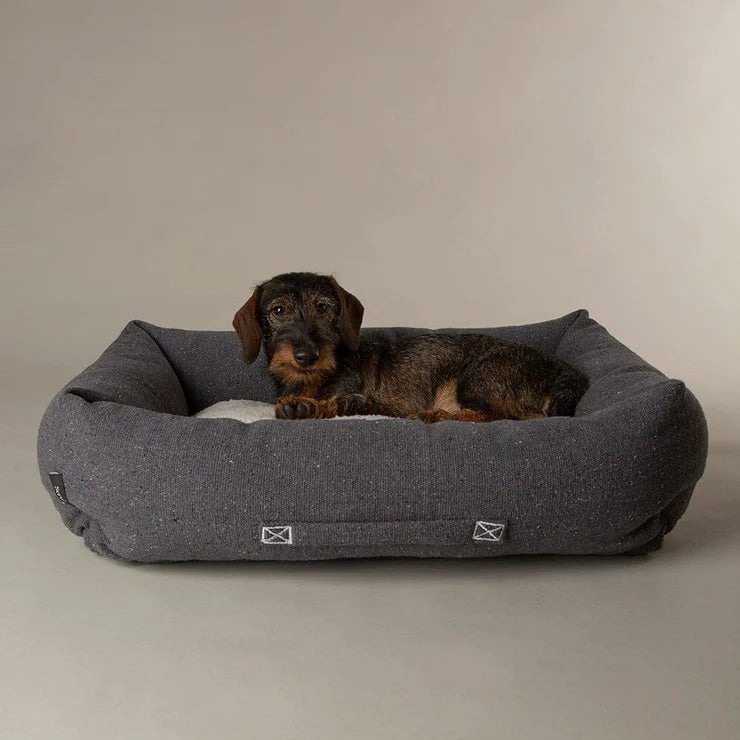 Eden Box Bed Scruffs | Dog Bed-Box Bed