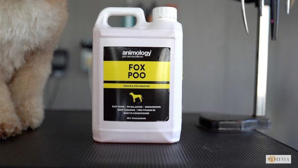 Best dog shampoo for fox poo sale