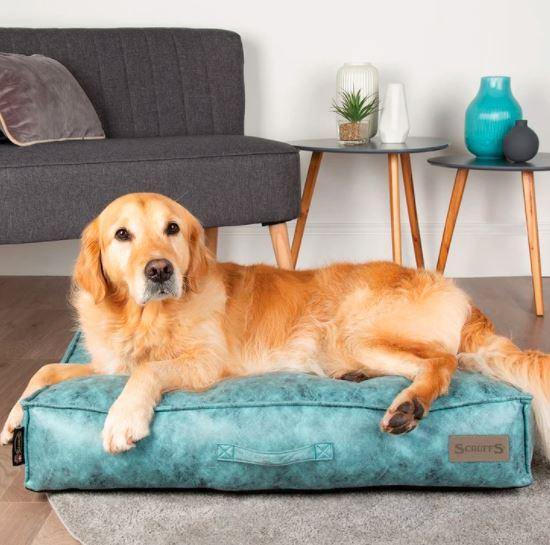 Knightsbridge Dog Mattress | Dog Bed